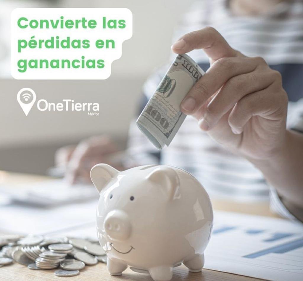 sustentabilidad de tu flotilla vehicular