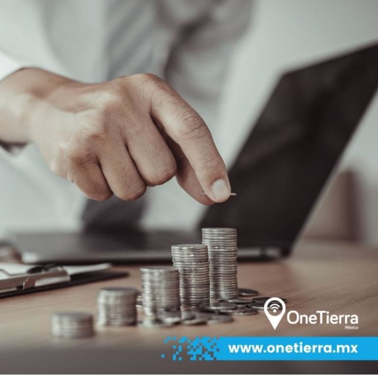 rentabilidad para flotas