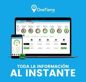 empresa de tecnología y consultoría