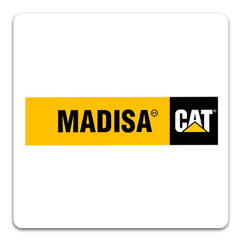 madisa