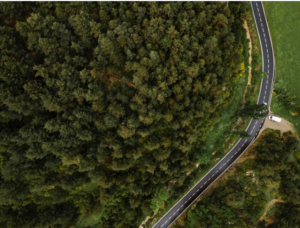 empresa comprometida con el medio ambiente